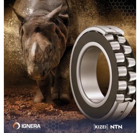 NTN sferiniai ritininiai guoliai: inovacijos ir patikimumas sudėtingoms darbo sąlygoms!